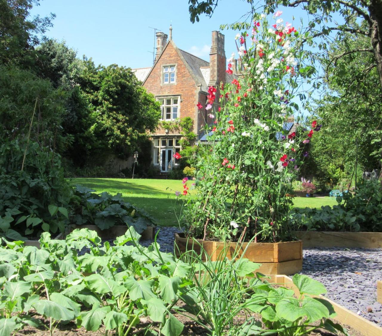 The Old Vicarage B & B Barnstaple Kültér fotó